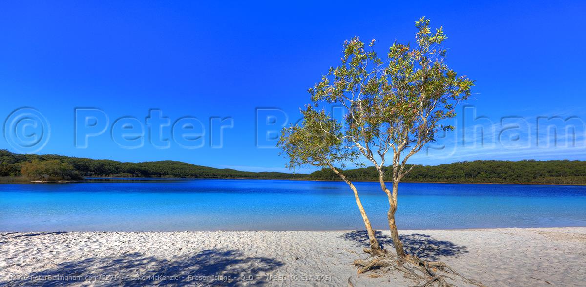 Peter Bellingham Photography Lake McKenzie - Fraser Island - QLD T (PB5D 00 51A1695)